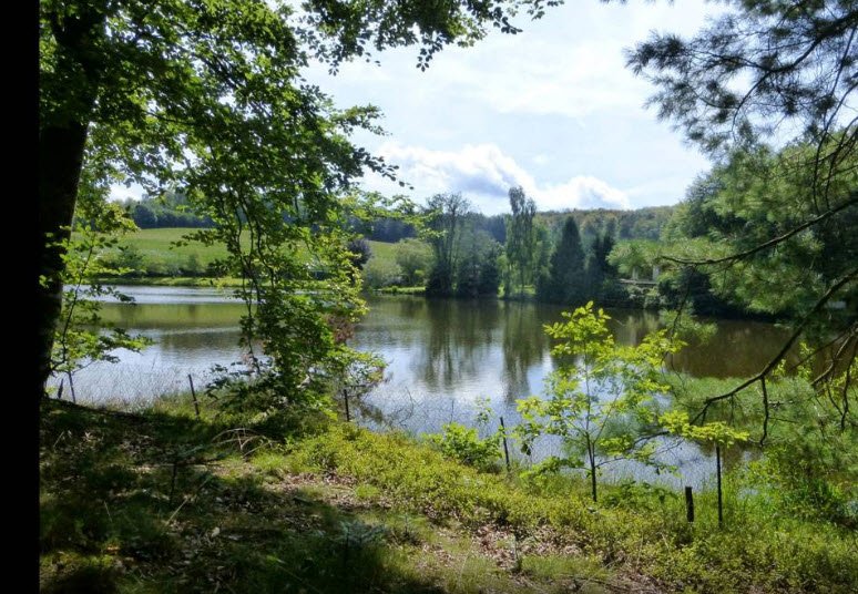 L'arboretum de la Hutte, Hennezel, France, France